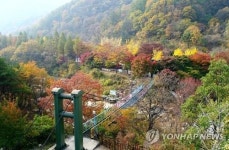 [충북소식] 옥천 체험파크사업 20억원 국비 확보