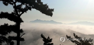 한폭의 동양화 같은 태안 백화산의 운무