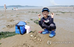 조개 직접 잡았어요