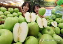 벌써 햇사과가?