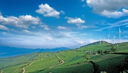 태백시, 매봉산 바람의 언덕 무료 셔틀버스 운행