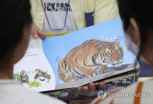 재미있게 표현된 동물 그림책