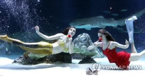 아쿠아플라넷63에 등장한 인어공주