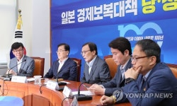 발언하는 이해찬 대표