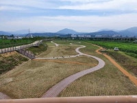 김천 직지사천 둔치에 핑크뮬리 22만본 공원 눈길