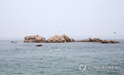 신라 문무대왕 해양개척정신 계승…경북도 문무대왕의 날 제정