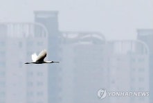 [인천소식] 인천 연수구 습지국제기구 가입…송도갯벌 알린다