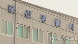머리에 못 박힌 군산 고양이 구조…수술받고 회복 중
