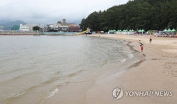한산한 여름 해수욕장