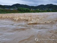 불어난 천안천
