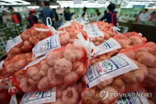 농식품부·농협, 마늘 1만5천t 추가 수매