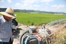 마른 논에 물대기