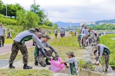 청춘 양구를 푸르게 푸르게