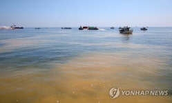 황토로 물든 바다