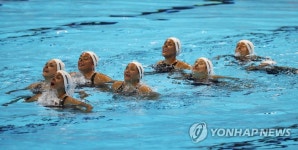 즐거움 가득한 수영인의 축제