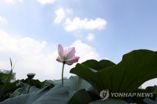 태풍의 발자국 지워진 여름하늘