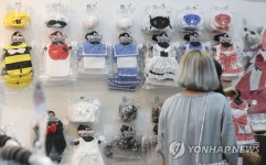 화려한 반려동물 의상