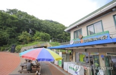 [음식기행] 국수주의자에게 권한다…영월 강원토속식당 칡국수