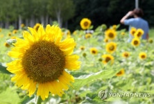 이 무더위가 끝날 때쯤