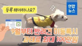[뉴스피처] "강아지 동물등록 해야 하나요?" 미등록 9월부터 과태료