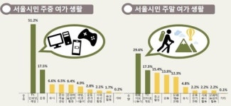 서울 시민 절반, 주중 여가 활동은 TV·인터넷·게임