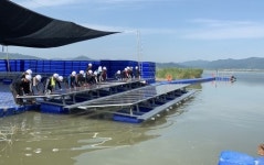 고흥 득량만에 25MW 수상 태양광발전소 착공
