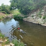 하천을 애견 수영장으로…애견테마파크 올해도 버젓이 불법 영업