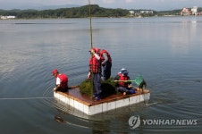 미역 채취가 아닙니다