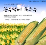 만리동광장·어린이대공원 등서 먹거리 장터 농부의 시장 개장