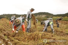 철원군, 대민지원 장병 1천500명 고향 집에 오대쌀 선물