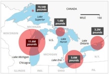 북미 오대호에 매년 1만2천t 규모 폐플라스틱 유입