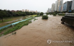 많은 비에 불어난 탄천