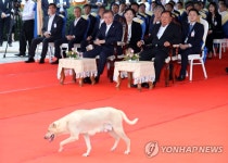 대통령 경호 뚫은 강아지?