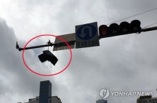 파손된 신호등 위태위태