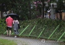 쓰러진 울타리 옆으로