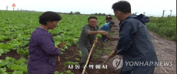 북한, 태풍 링링으로 인한 농작물 피해방지 총력