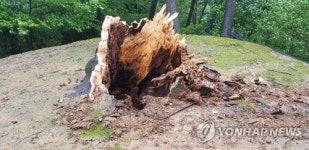 사적 진주성 성곽 파손 등 경남 피해신고 150건(종합2보)