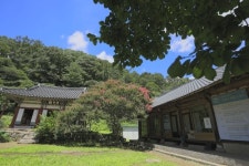 [도시탈출] 귀촌자들과 함께하는 지리산 한 달 살기