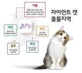 부산·광주에도 자이언트캣…SKT AR동물원 전국 15곳으로 확대