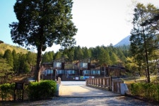 산림청, 9월 국유림 명품 숲으로 남해 편백 숲 선정