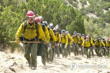 울주산악영화제 영화 온리 더 브레이브