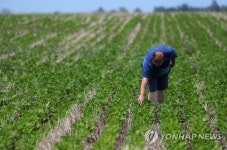 아르헨, 中에 대두박 수출길 열려…미중 무역전쟁 반사이익