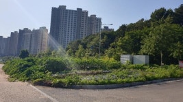 [김포소식] 김포 마산동 방치된 공유지에 지방재정의 숲 조성