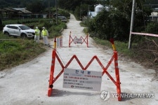 돼지열병 농장 돼지 살처분…국산 돼지고기 소비해달라(종합)