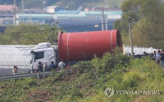 파주 양돈농장 살처분 준비