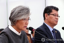 답변하는 외교부 장관