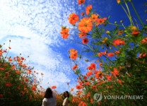 찬란한 가을 하늘 아래