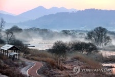 습지의 별 김해를 밝히다 화포천서 반딧불이 생태축제 개막