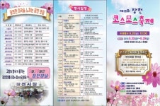 구미 한천변에 코스모스 활짝…20∼29일 축제