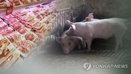 거래소 돈육 선물시장 유명무실…6년간 거래 한 건도 없어